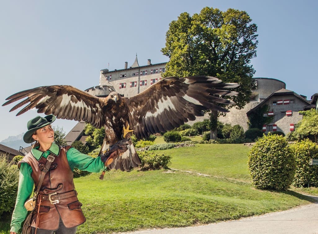 Greifvogelschau auf der Burg Hohenwerfen © SalzburgerLand Tourismus