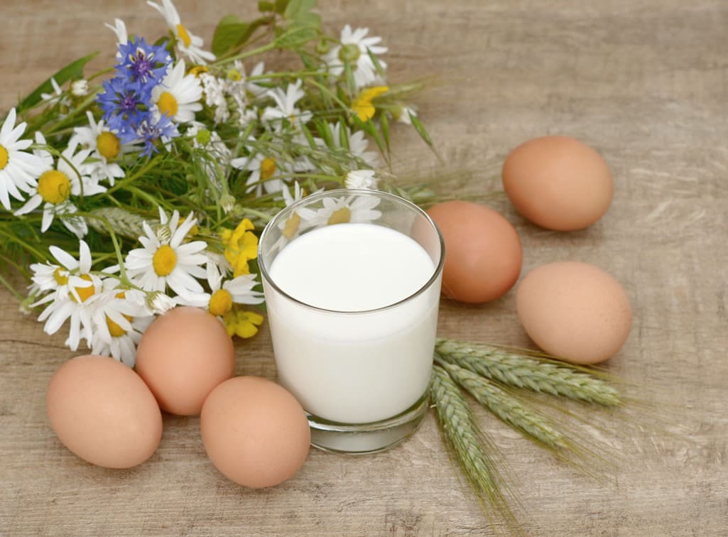 Eier und Milch frisch vom Bauern