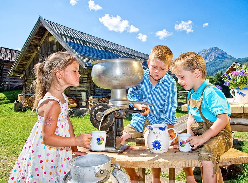 Milch frisch von der Alm