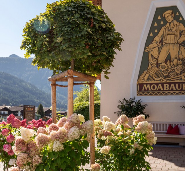 Sommerblumen beim Bauernhofurlaub in Flachau beim Moabauer