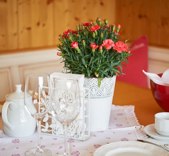 Schön gedeckter Tisch im Appartement vom Kinderbauernhof