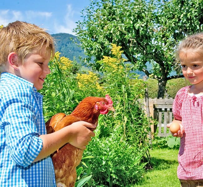 Bauernhoftiere am Kinderbauernhof