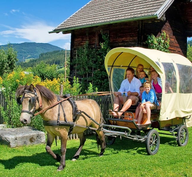 Pferdekutschen fahren in Flachau
