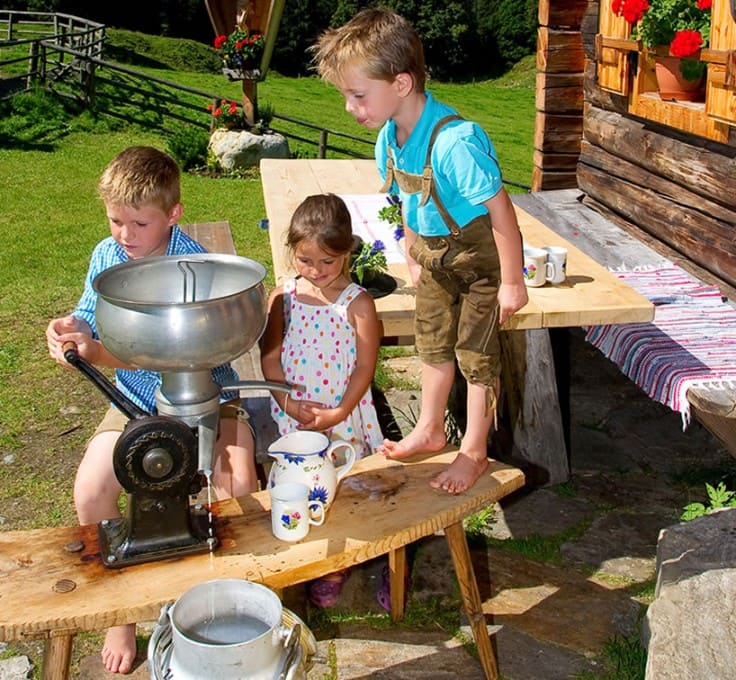 Frisch gemolkene Milch von der Alm probieren