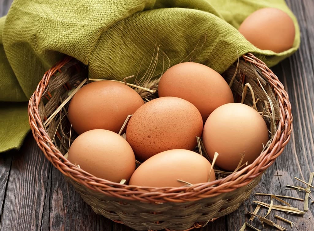 Tägliche frische Eier von den Hennen