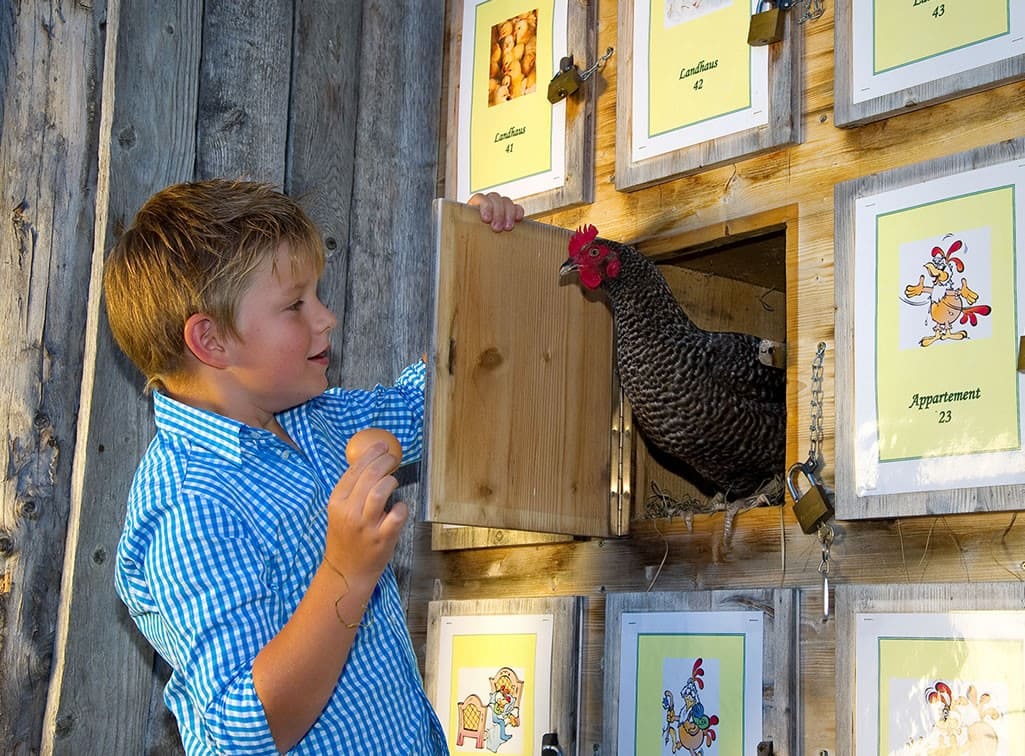 Jeden Tag ein Ei vom Hof