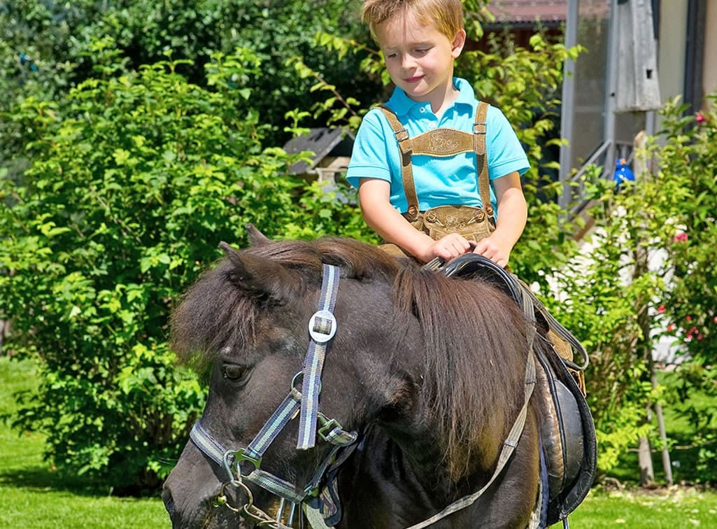 Kinder-Ponyreiten 1x Wöchentlich